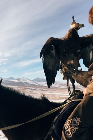 VIMFF song for the nomad ski show 4 1200x800