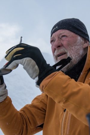 VIMFF tarfala 600x600