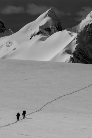 VIMFF the curve of time 600x600