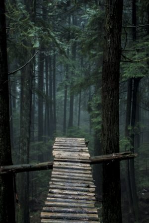 VIMFF the moment 600x600