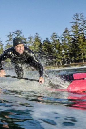 VIMFF wild coast 5 600x600