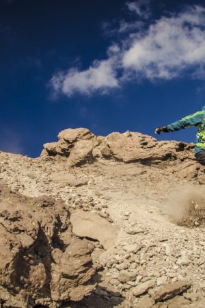 VIMFF zahhal 3 600x600