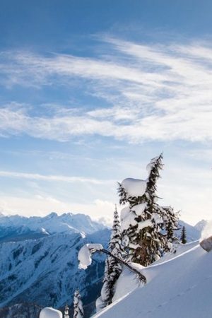 ZoyaLynch Sunrise 10 800x600 600x600