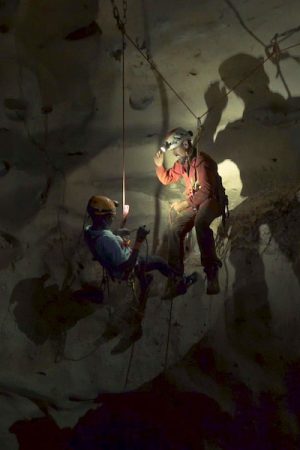 anba vimff 2019 featured