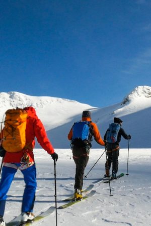 choose your own adventure vimff 2019 featured