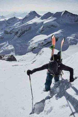 ice and palms vimff 2019 1