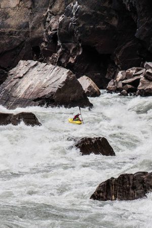 inside the indus vimff 2019 FEATURED