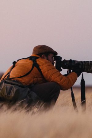 tierra del viento vimff 2019 featured