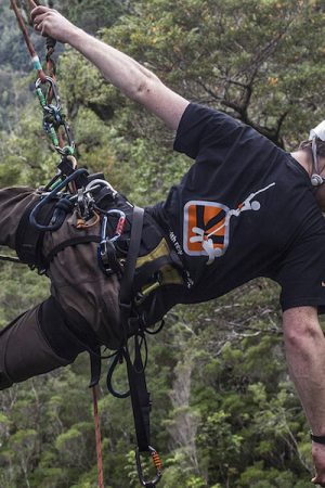 vimff 2020 ancient giants featured