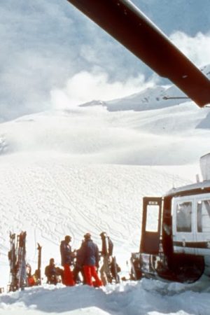 vimff 2020 call me crazy featured