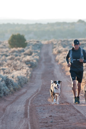 vimff 2020 eli featured 1