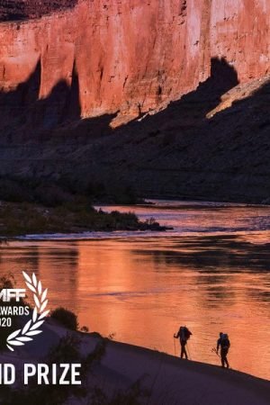 vimff into the canyon grand prize