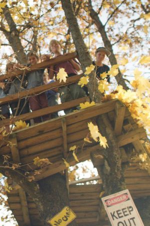 vimff 2020 siblings featured