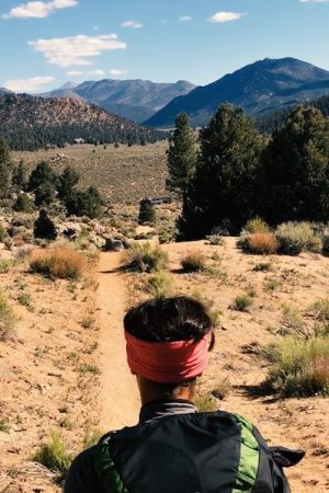 vimff 2020 the journey featured