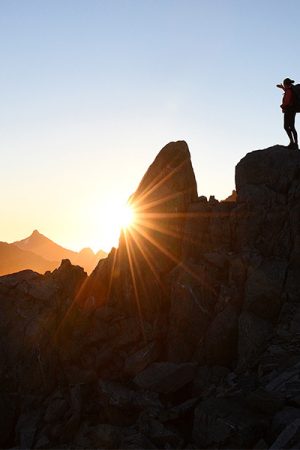 vimff 2021 kakapo crest featured square