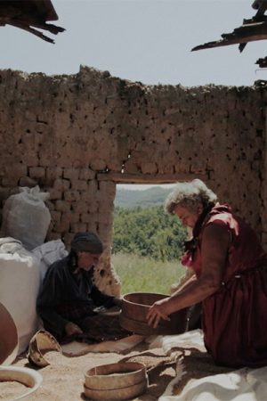 vimff 2021 then comes the evening featured square