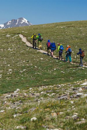 vimff 2021 venture out featured square