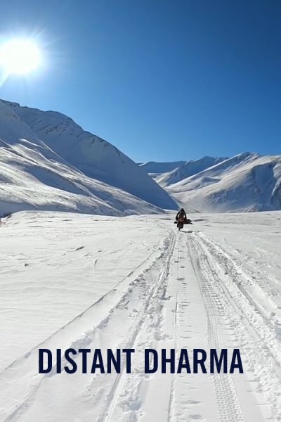 vimff Trail Show_Distant Dharma x