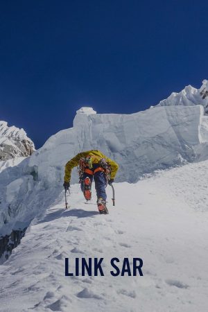 vimff alpine show link sar