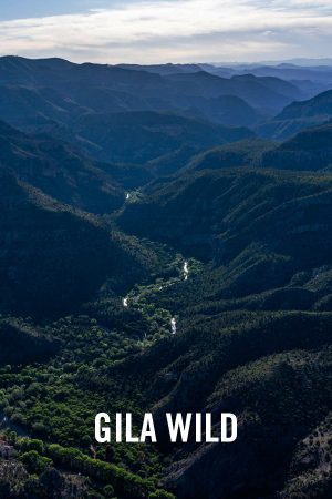 vimff best of adventure gila wild x