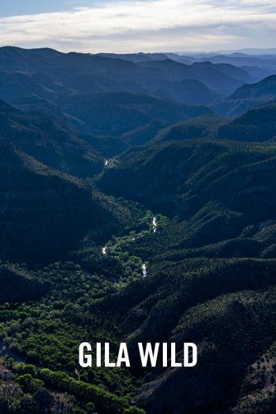 vimff best of adventure gila wild x