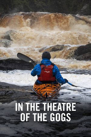 vimff best of adventure in the theatre of the gogs x