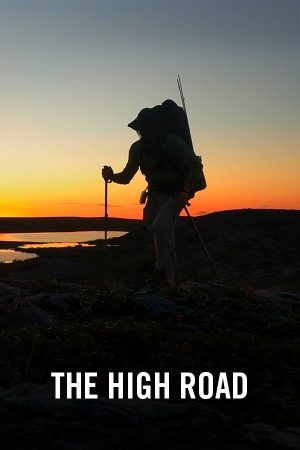 vimff best of adventure the high road x