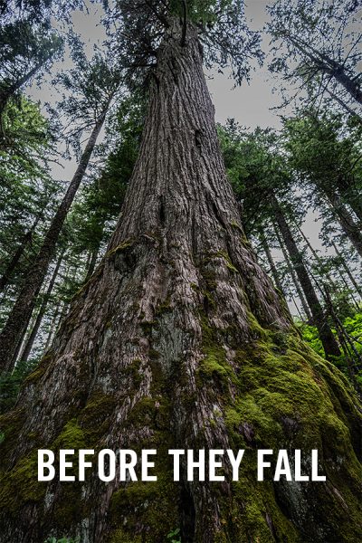 vimff canadian environmental show before they fall