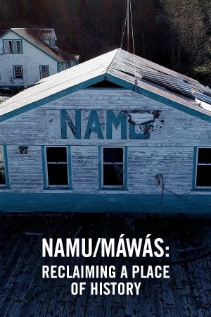 vimff canadian environmental show namu reclaiming a place of history x