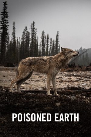 vimff canadian environmental show poisoned earth x