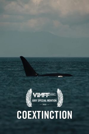 vimff film awards jury special mention coextinction x