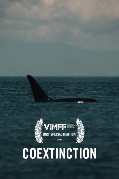 vimff film awards jury special mention coextinction x