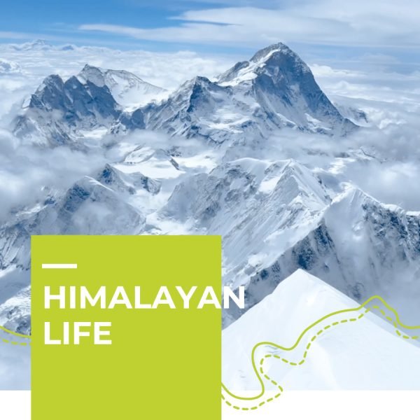 vimff x show Himalayan Life