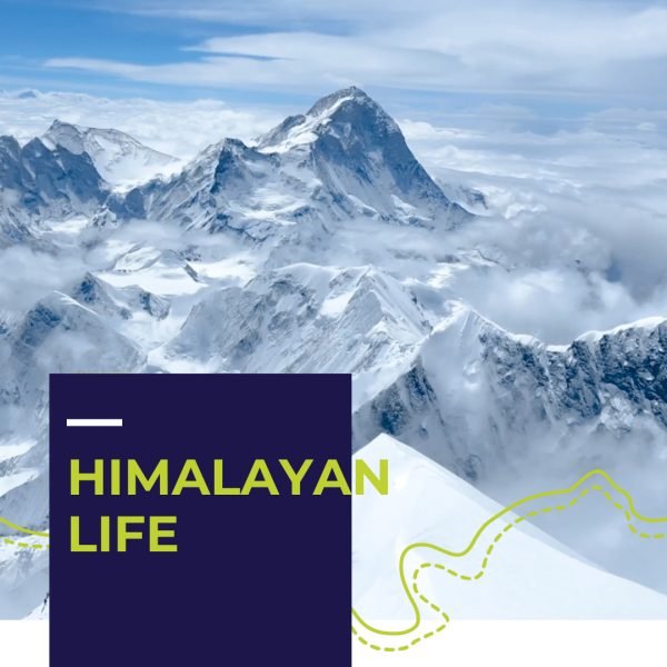 vimff x show online Himalayan Life