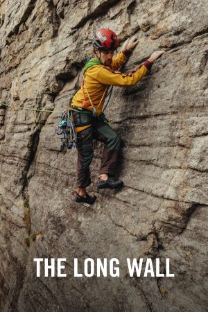 vimff x the long wall