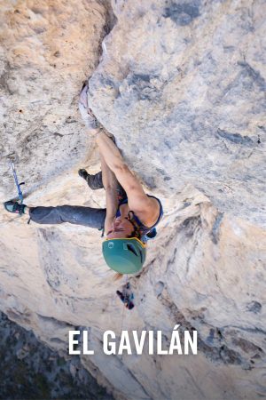 vimff El Gavilán x