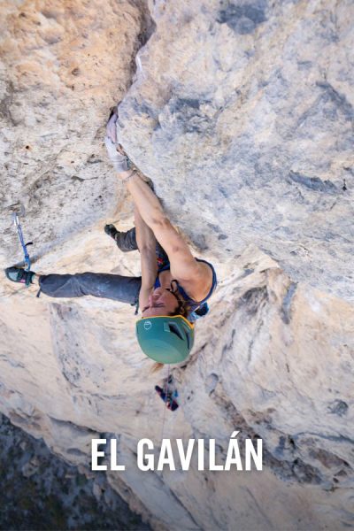 vimff El Gavilán x