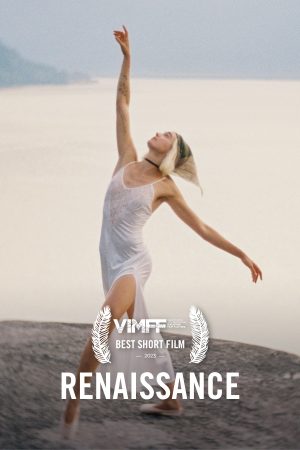 vimff award renaissance
