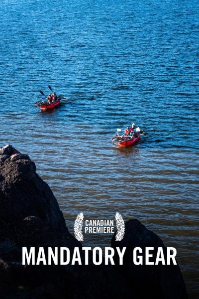 vimff mandatory gear x