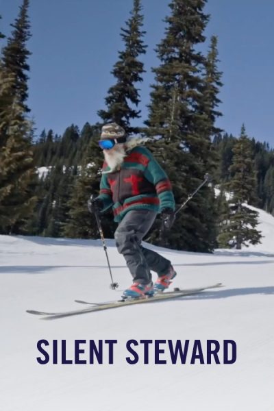 vimff silent steward x