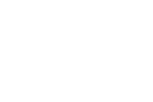 vimff the hive partner x