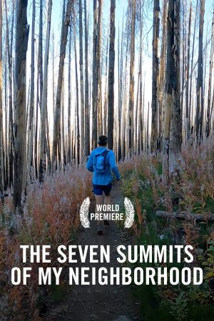 vimff the seven summits of my neighborhood X