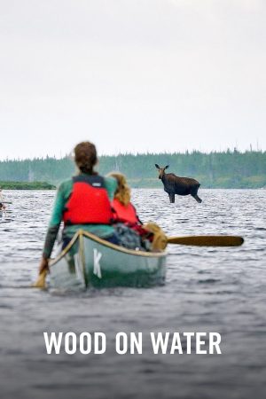 vimff wood on water x