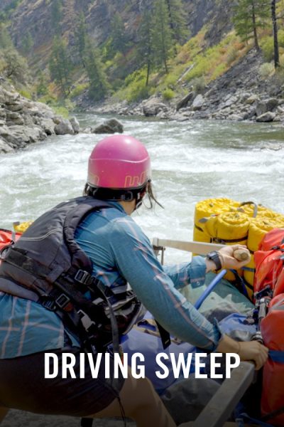 VIMFF x Driving Sweep