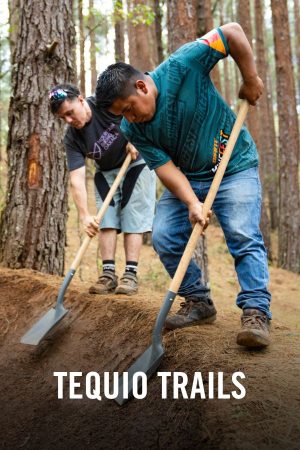 vimff film tequio trails x nowp