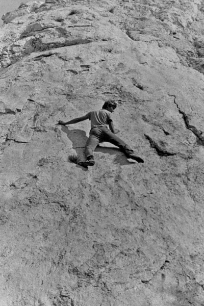 vimff festival director alan formanek