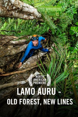 VIMFF Films x Lamo Auru