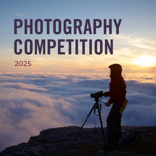 vimff new lines emerging filmmakers grant x