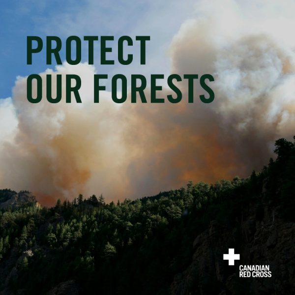 vimff protect our forests x