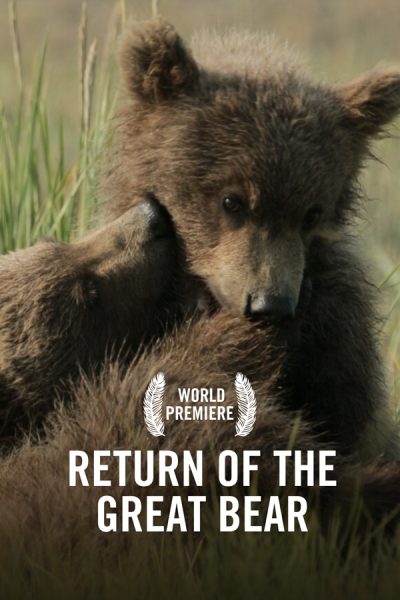 VIMFF Films x The Great Bear